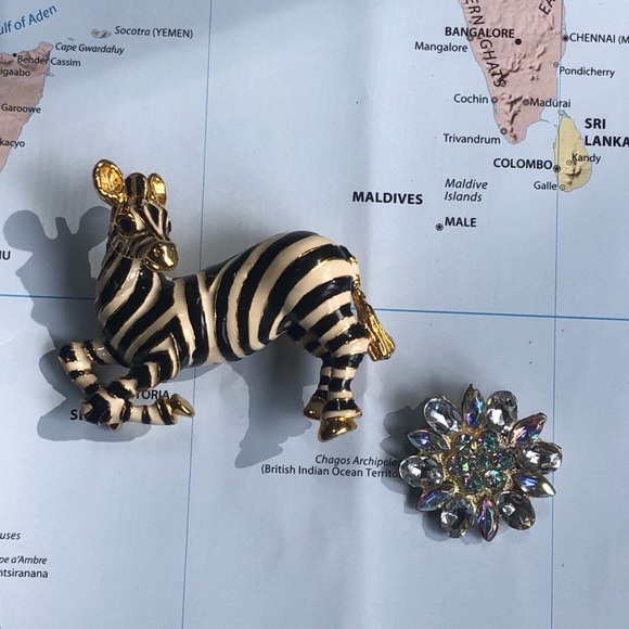 PINS - Picture 6 of 7